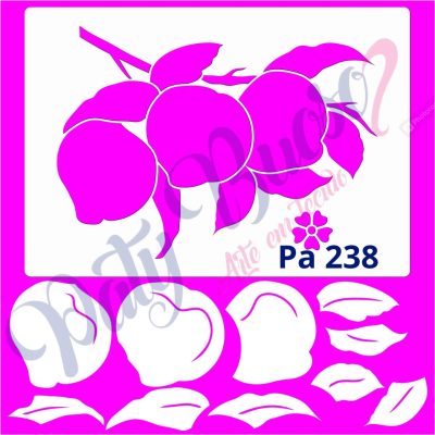 Pa 238 - Pêssego com Stencil - 21x29