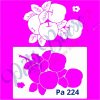 Pa 224 - Maçãs com Stencil - 21x29