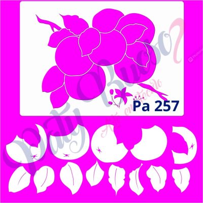 Pa 257 - Laranjas com Stencil - 21x29