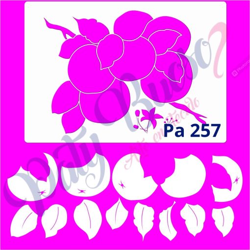 Pa 257 - Laranjas com Stencil - 21x29