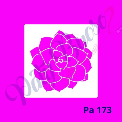 Pa 173 - Suculenta - 14x14