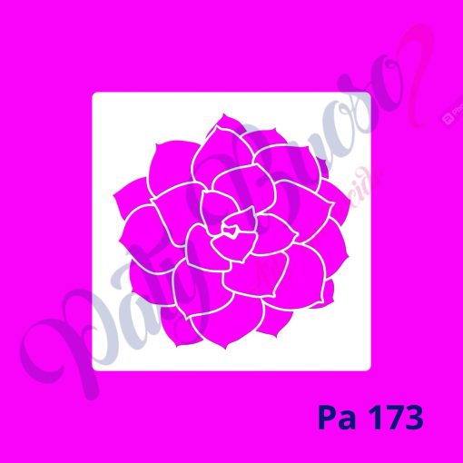 Pa 173 - Suculenta - 14x14